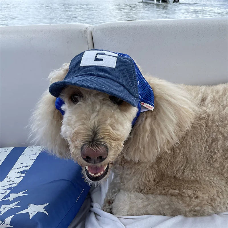 Dog Hat