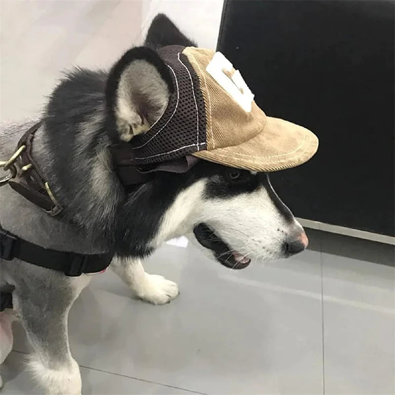 Dog Hat