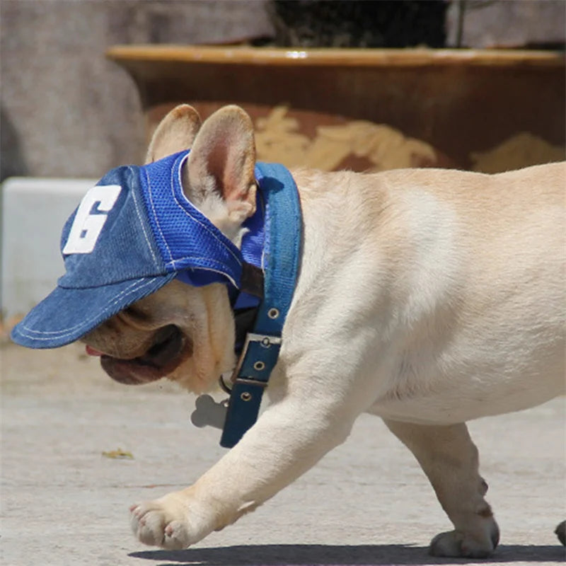 Dog Hat