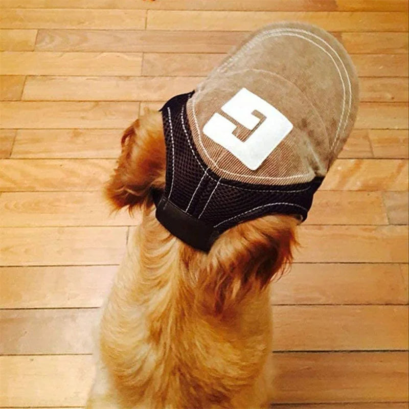 Dog Hat