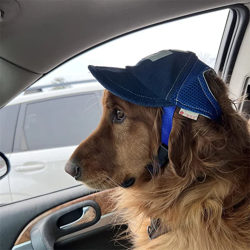 Dog Hat